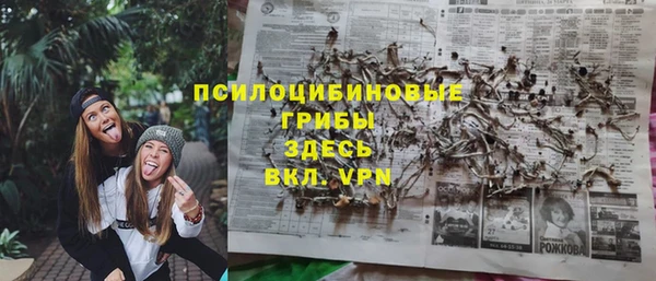 прущие крисы Богородицк