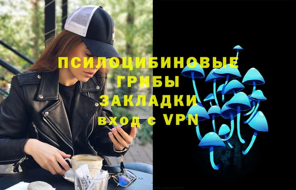 метамфетамин Богданович