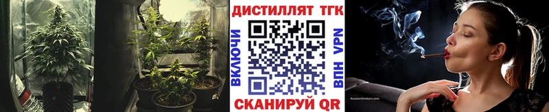 shop клад  Нариманов  kraken   Дистиллят ТГК THC oil  где продают  